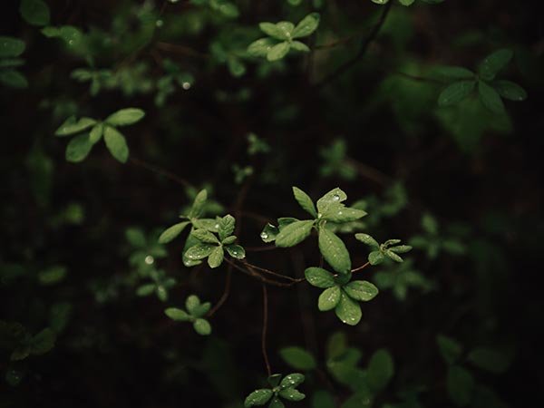 Quam Nulla Porttitor Massa Dneque Aliquam Vestibulum Ben Karpinski UR PNOruRPk Unsplash